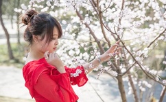 吕总暴力办张津瑜MV视频